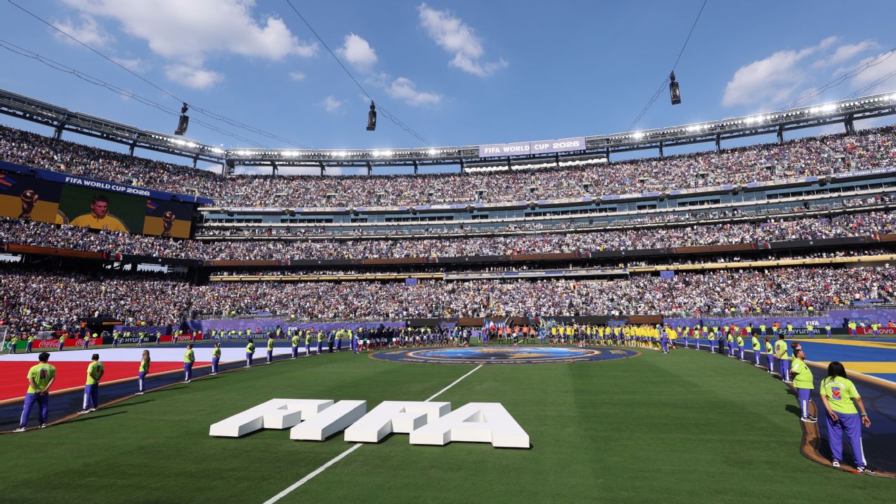FIFA售卖2026世界杯决赛场地草皮 每块450美元